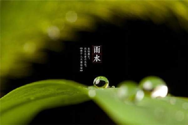 雨水养生如何做? 雨水节气如何防寒湿?