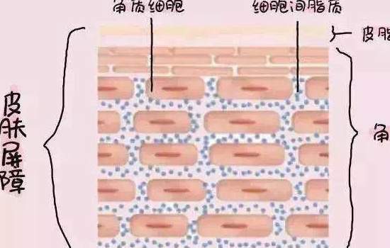 怎么灌肤 灌肤是什么意思需要怎么做