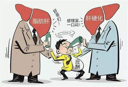 脂肪肝如何治疗？药物结合日常习惯