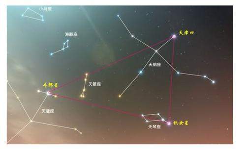 牛郎星属于什么星座，天鹰座！