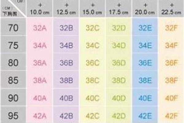 罩杯abcd怎么分大小，通过上下胸围的尺寸差来确定罩杯型号！