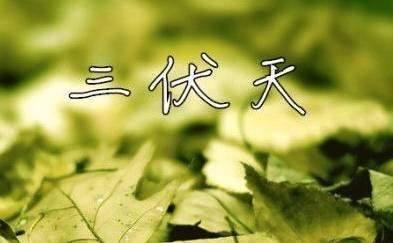 今年什么时候入伏，2020年07月16日！