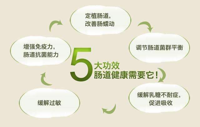 益生菌的作用与功效，促进肠道消化系统健康！