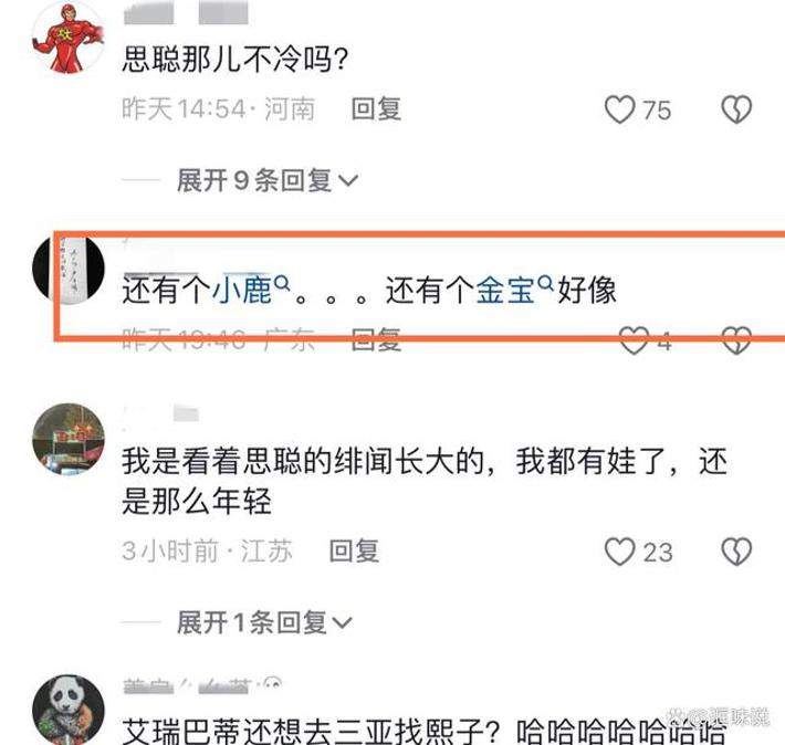 曝王思聪带30个美女现身海南！多位百万级女网红，沈熙王老师在列