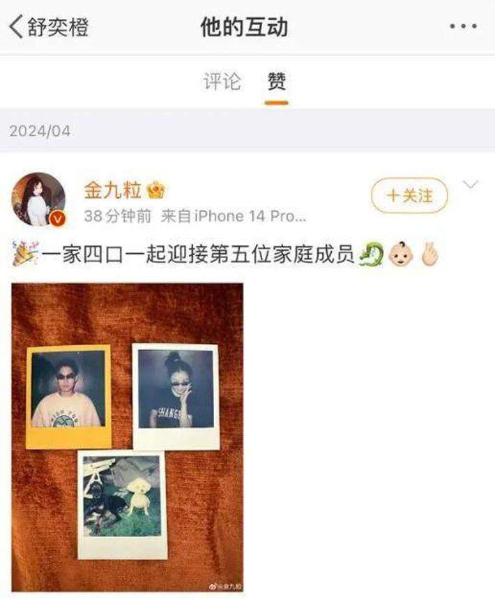 金靖官宣怀孕，男方为动画导演，是才子也是帅哥