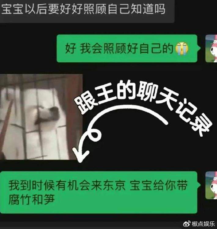 小羽和王思聪分手，晒聊天记录获网友心疼！王思聪：宝宝以后照顾