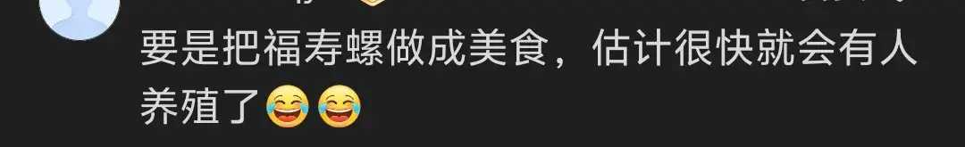 成都‘米开朗击螺’爆红网络！弹弓如何成功击退入侵福寿螺？