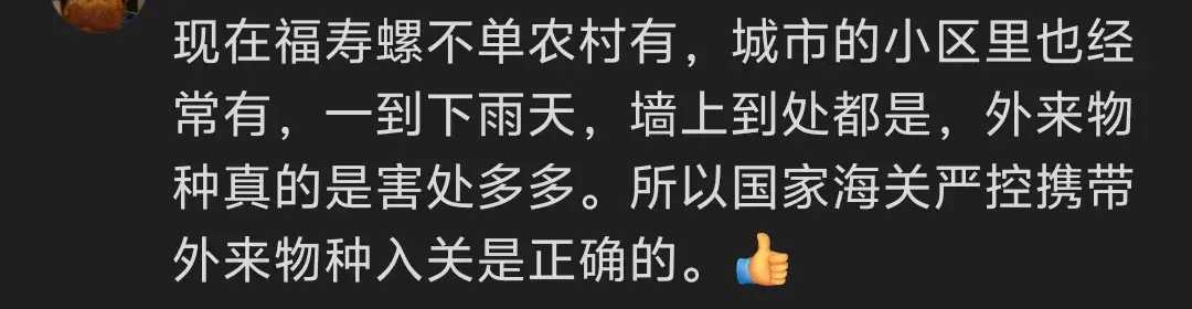 成都‘米开朗击螺’爆红网络！弹弓如何成功击退入侵福寿螺？