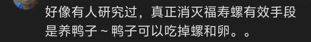 成都‘米开朗击螺’爆红网络！弹弓如何成功击退入侵福寿螺？