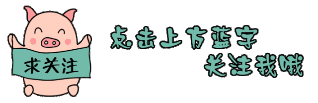 相声演员虎哥豹哥喊话谢雷适可而止，哥俩拒绝栓对儿，网友叫好