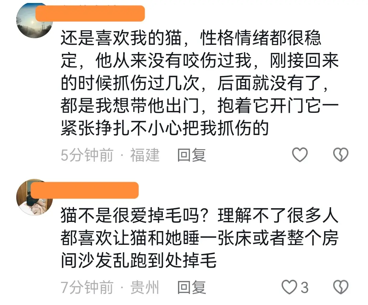 女子被自家猫偷袭，突如其来的“发疯”咬出血，惩罚它关进笼子