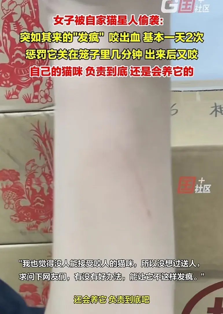 女子被自家猫偷袭，突如其来的“发疯”咬出血，惩罚它关进笼子