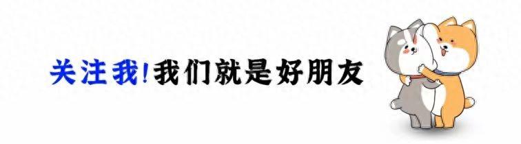 孙杨谈郑钦文夺冠:等了20年的金牌，不愧是Queen Wen！评论区炸锅