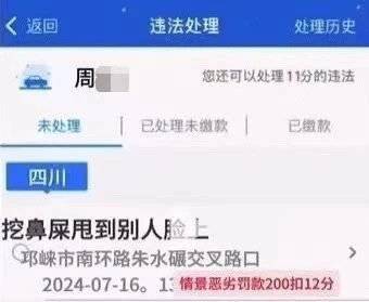 “开车看美女”被开罚单？真相：网友P的