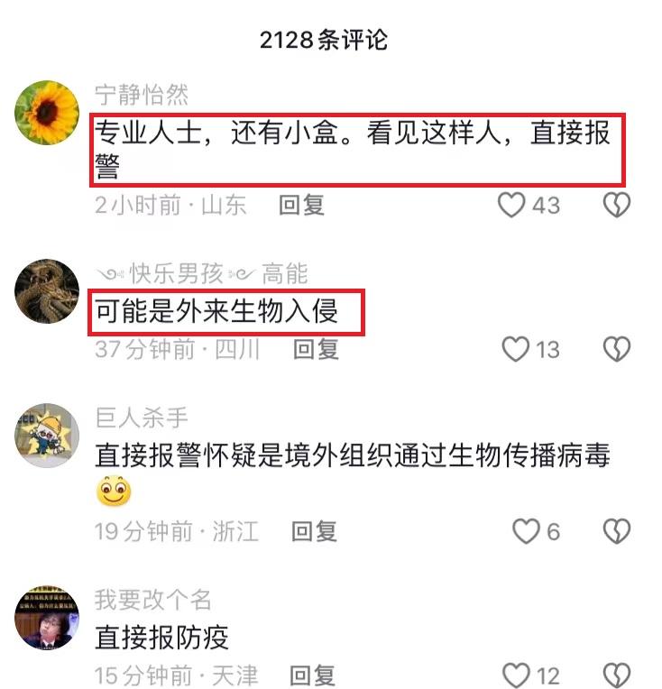 有阴谋？陌生女子小区内放生蟑螂，还怒怼业主，网友：是个狠人！