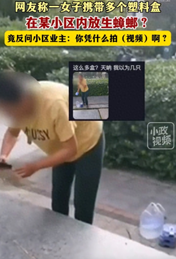 女子小区内放生大量蟑螂，面对业主的质问却依然我行我素并反怼